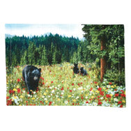 6975-010_Thumbnail.jpg